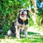 Allergy Relief Success Metrics: 7 Proven Ways to Avoid Costly Mistakes with Colostrum Supplements