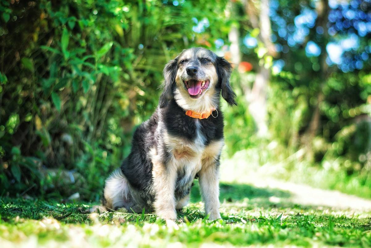 Allergy Relief Success Metrics: 7 Proven Ways to Avoid Costly Mistakes with Colostrum Supplements