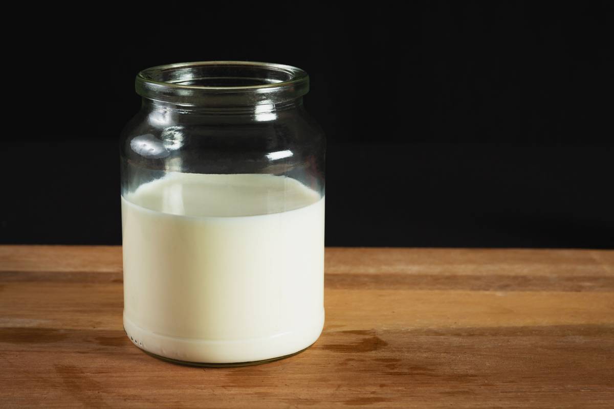 Immune System Support for Dogs: Why Colostrum Outperforms Conventional Supplements