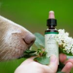 Allergy Relief Risk Assessments: 7 Proven Steps to Avoid Dangerous Oversights