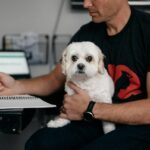 Immune Boost Risk Assessments: 7 Proven Steps to Avoid Costly Mistakes with Colostrum Supplements
