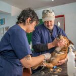 Immune Boost Success Metrics: 7 Proven Ways to Avoid Costly Colostrum Mistakes